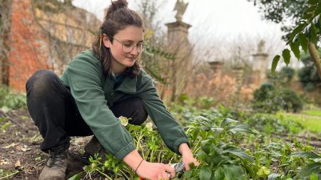 Nell: Horticulture or Landscape Operative: Level 2