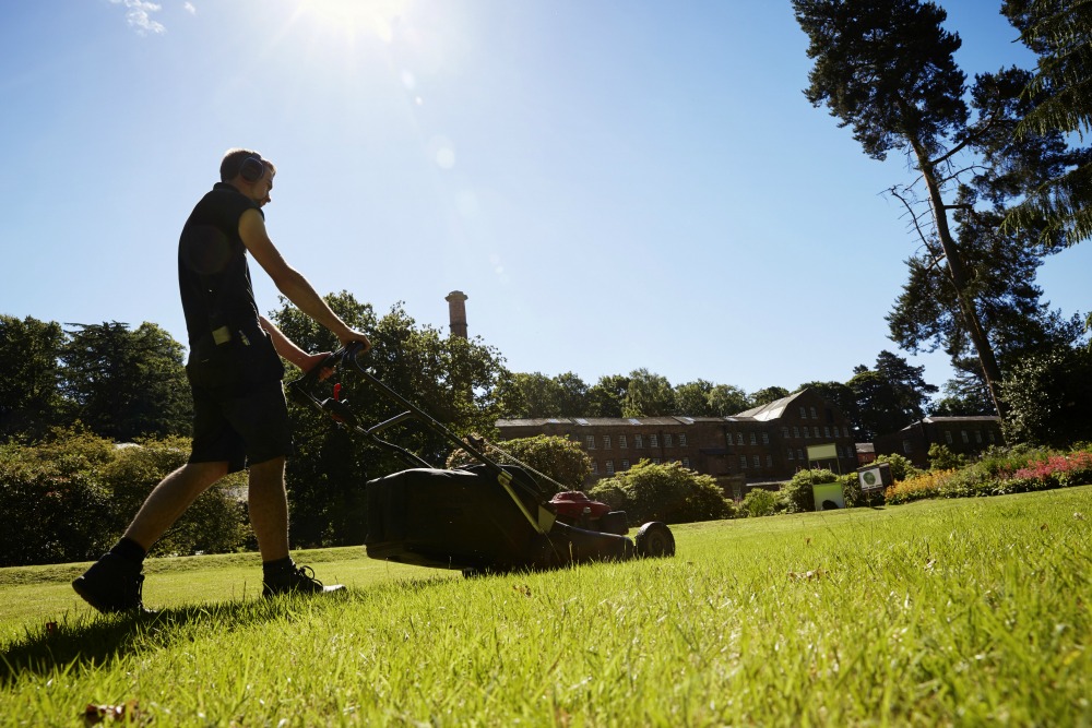 National Trust Jobs How to get into gardening