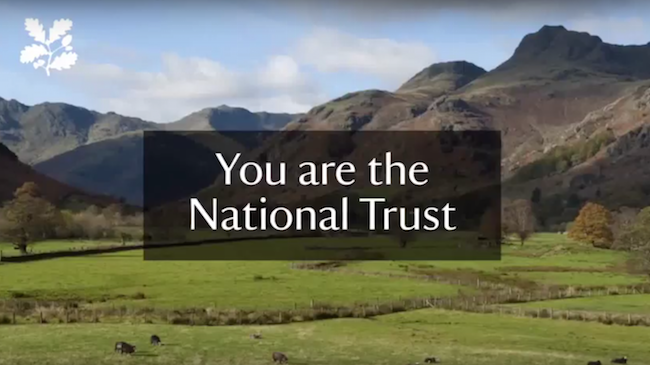 Welcome to the Trust