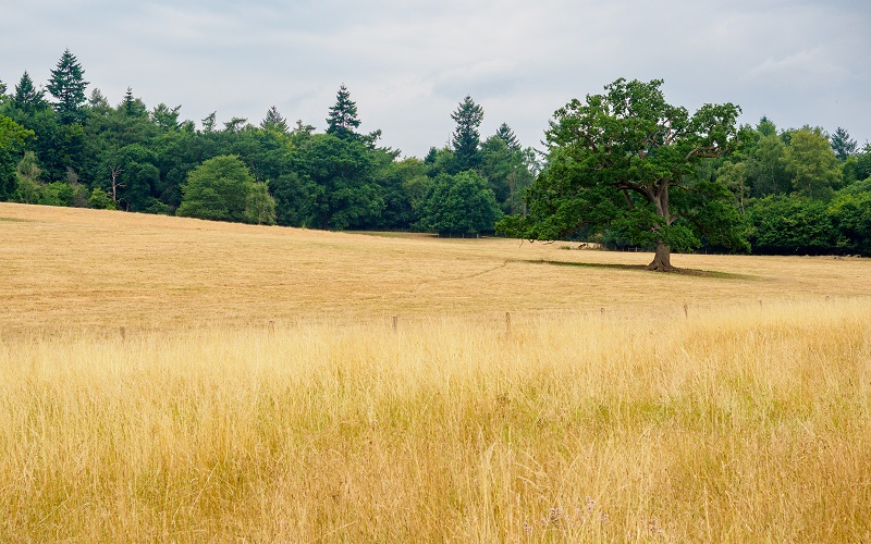 National Trust Jobs Managing estates for the benefit of people today