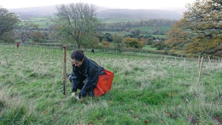 Anna: Assistant Apprentice Ranger on Countryside worker level 2 apprenticeship