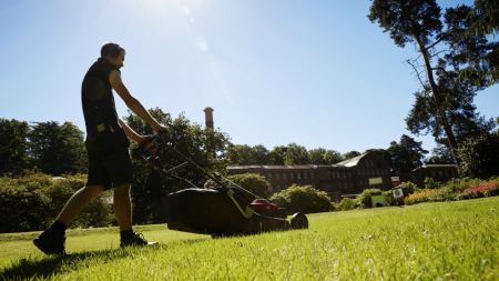 How to: get into gardening image