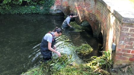 Clair: From Apprentice to Gardener image