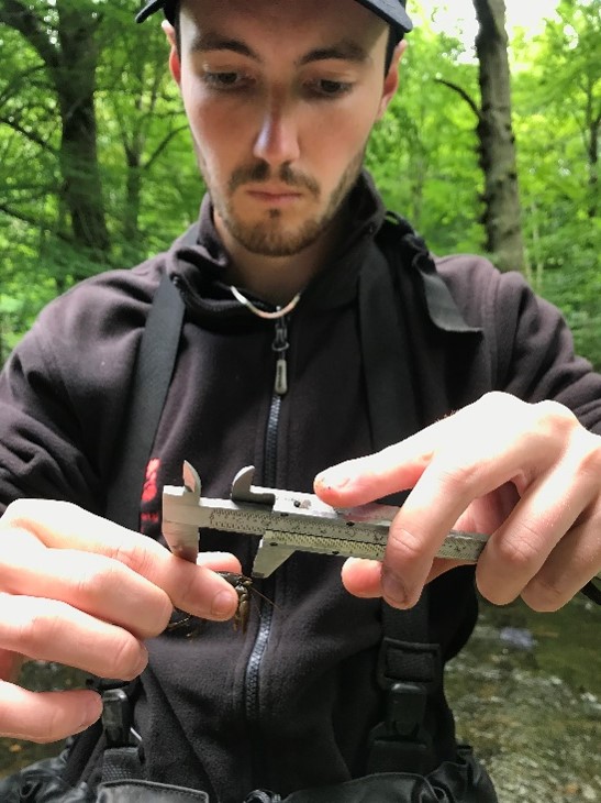 Nick performing a crayfish survey